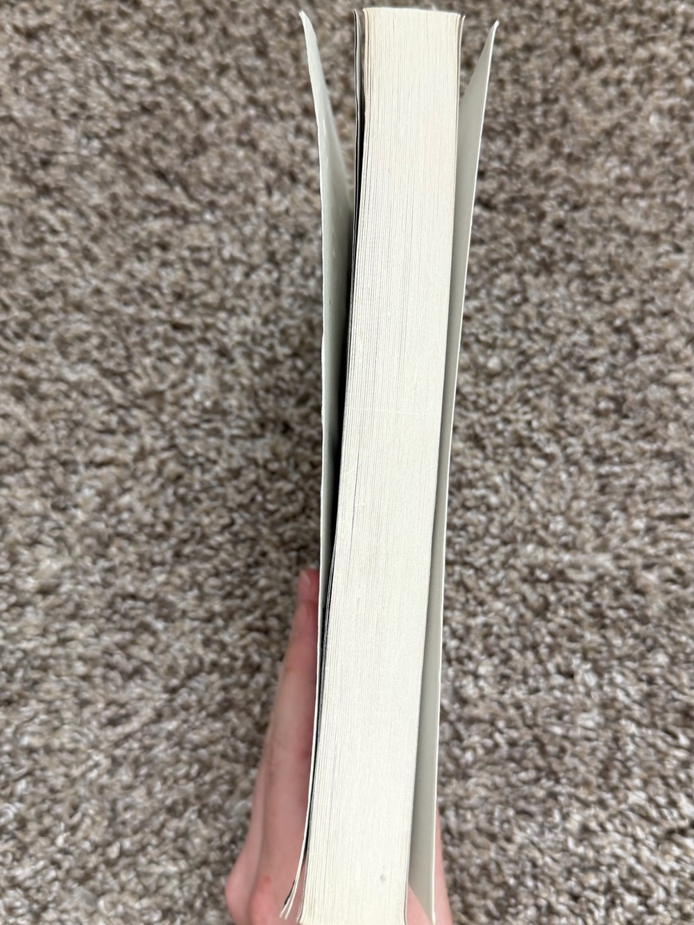 The Hunger Games Paperback - Picture 2 of 4